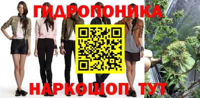 шишки Кулебаки