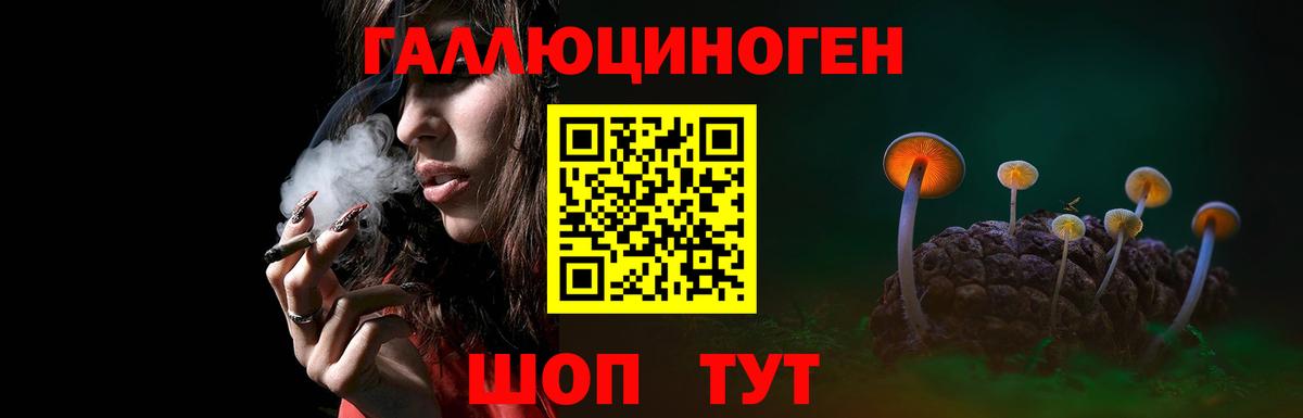 Галлюциногенные грибы мухоморы Иваново